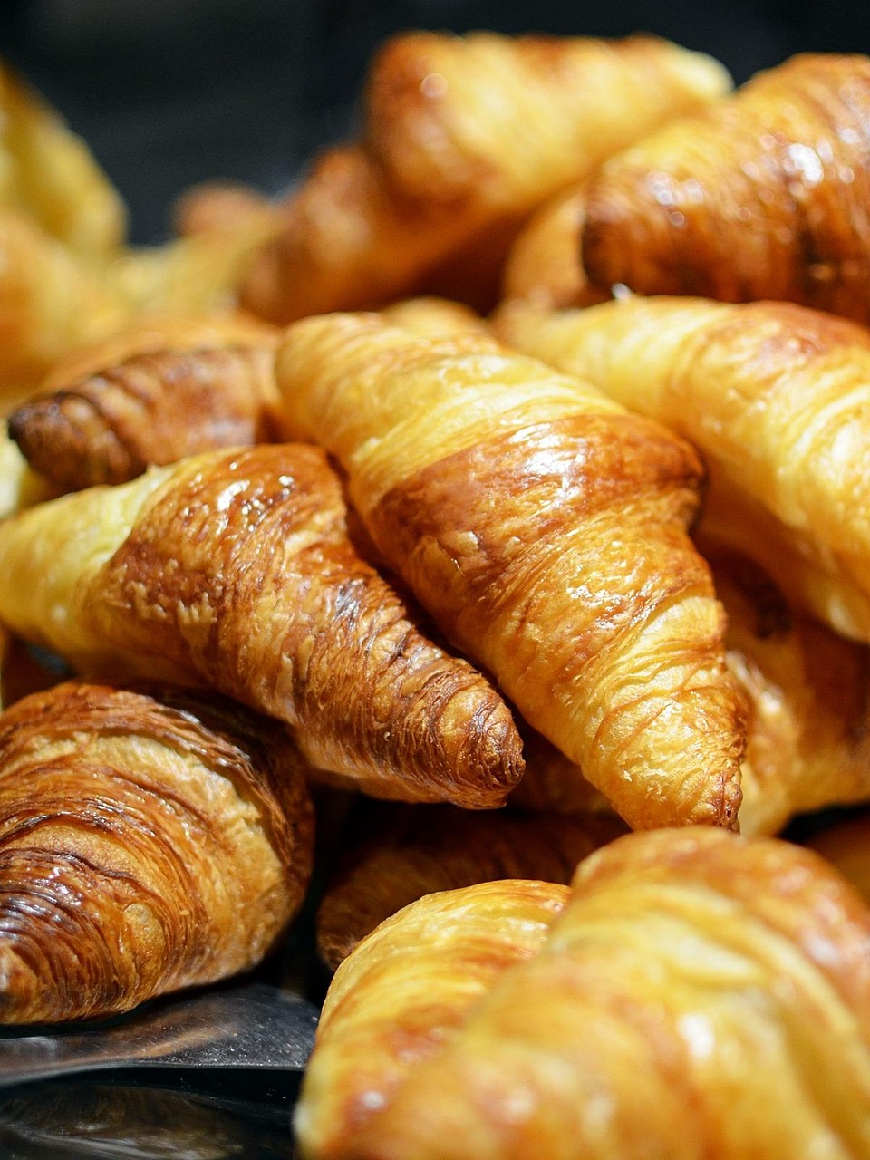 bread, croissant, food, breakfast, snack, baked, bakery, tasty, delicious, bread, bread, bread, bread, bread, croissant, croissant, croissant, food, food, breakfast, breakfast, breakfast, bakery, bakery